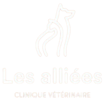Nos r&eacute;f&eacute;rences Kingersheim 7